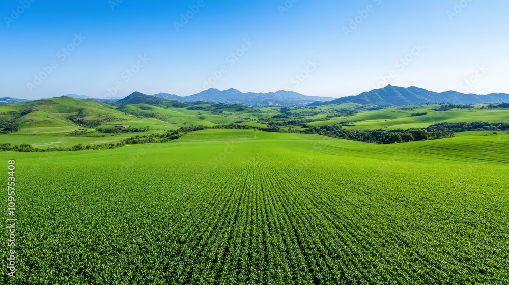Naklejka premium A large field of green grass with mountains in the background
