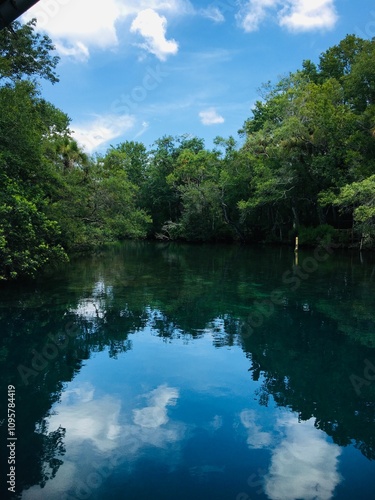 lake in the forest