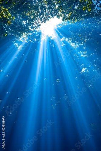 Sunbeams Through Canopy, Na...