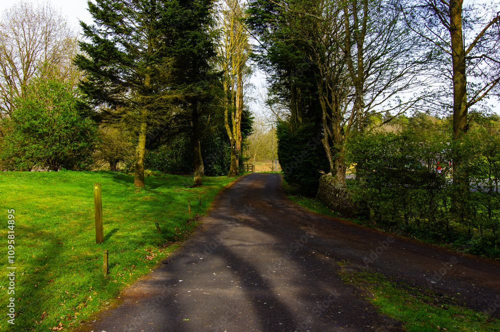 Obraz premium path in the park