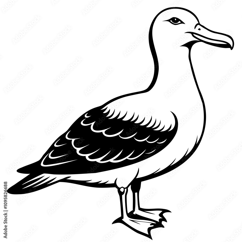 Obraz premium Albatross Birds Black Vector Silhouette, Vector outline, or Line art illustration isolated on a transparent background