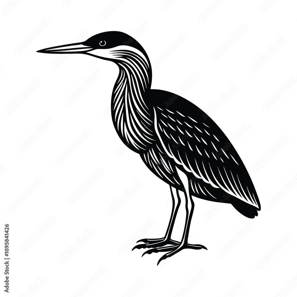 Fototapeta premium Bird silhouette element vector illustration