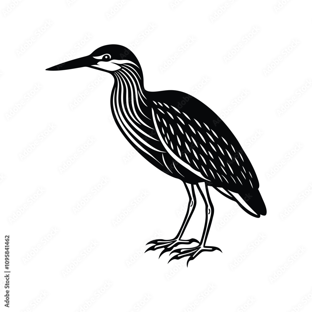Fototapeta premium Bird silhouette element vector illustration