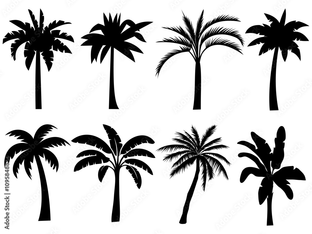 Fototapeta premium Collection of silhouettes of palm trees.