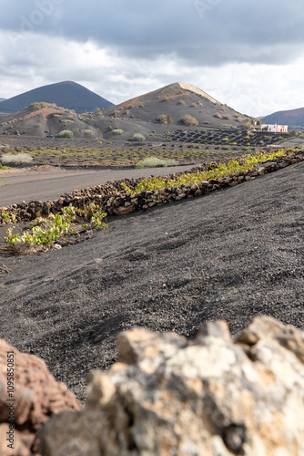 Obraz na płótnie Volcanic landscape,La Geria, Lanzarote, Canary Islands, Spain, Europe. Wine area in the volcanic landscape with views of the volcano w salonie