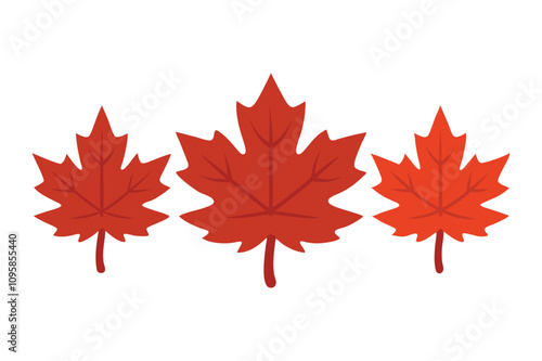 real maple leaves collection silhouette on the white background.