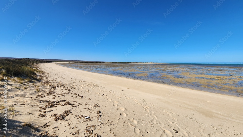 Mangrove Bay in Ningaloo, Cape Range National Park, Western Australia Mangrove Bay in Ningaloo, Cape Range National Park, Western Australia
