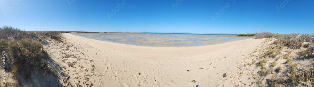 Mangrove Bay in Ningaloo, Cape Range National Park, Western Australia Mangrove Bay in Ningaloo, Cape Range National Park, Western Australia