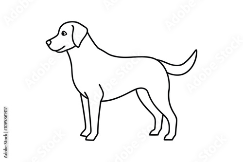 labrador retriever outline dog.