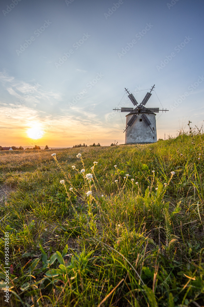 Windmill with wooden wings in a landscape setting. Fields, meadows and flowers appear in the sunset. Landscape shot in nature with a mill. historically untypical for the Balaton region in Hungary Windmill with wooden wings in a landscape setting. Fields, meadows and flowers appear in the sunset. Landscape shot in nature with a mill. historically untypical for the Balaton region in Hungary