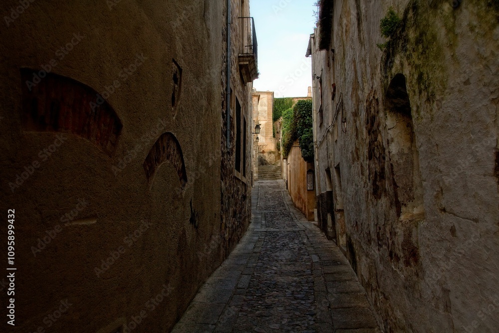 Fototapeta premium Narrow alley between houses in Vicolo Stretto, Montalcino, Italy