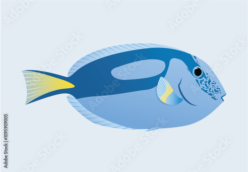 Dory fish vector illustration photo