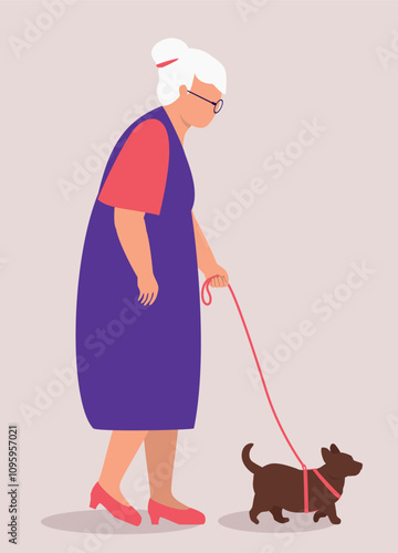 Side View Of An Elderly Woman Walking With Her Dog With Pet Leash.