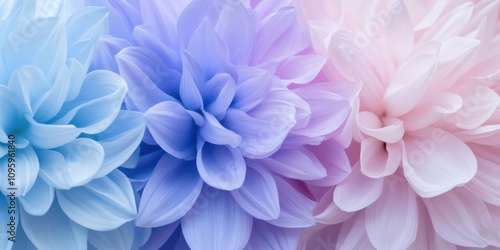 Delicate Blooming Flowers Displaying Soft Shades of Blue, Pink, and Lavender in a Stunning Floral Arrangement for Nature and Beauty Imagery