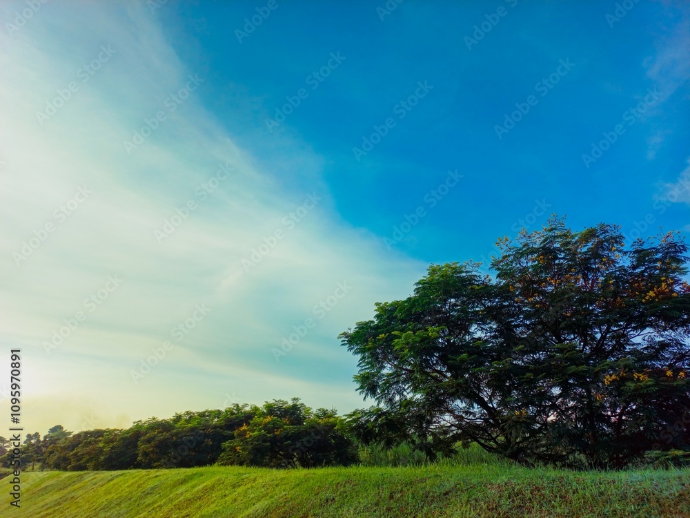 A peaceful natural setting with a lush green hill in the foreground and tall, leafy trees in the background. The clear blue sky with soft white clouds, giving the image a calm and refreshing ambiance. A peaceful natural setting with a lush green hill in the foreground and tall, leafy trees in the background. The clear blue sky with soft white clouds, giving the image a calm and refreshing ambiance.