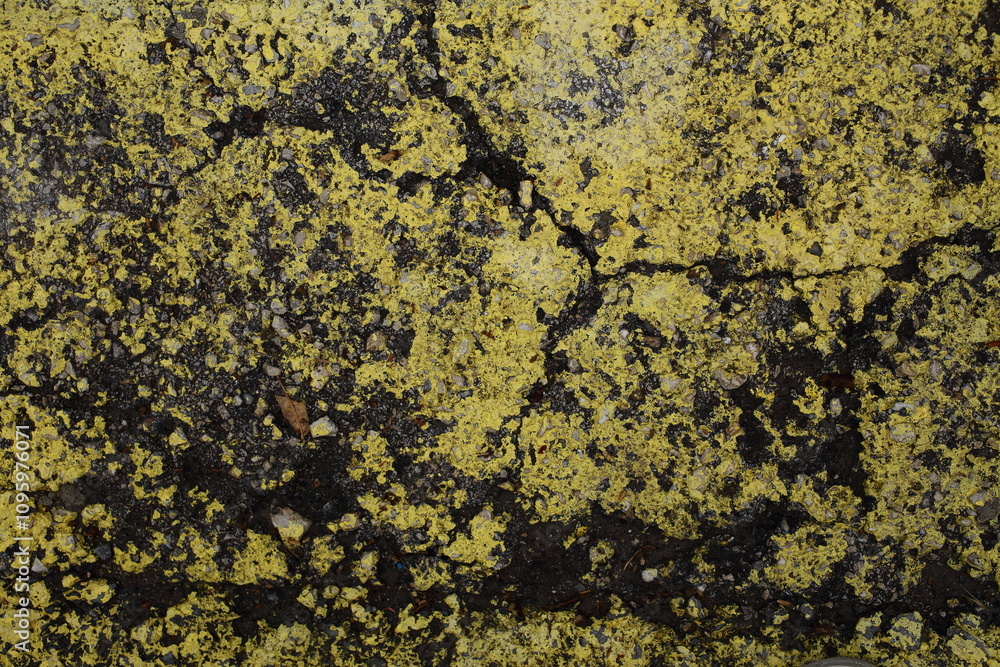 painted cracked asphalt