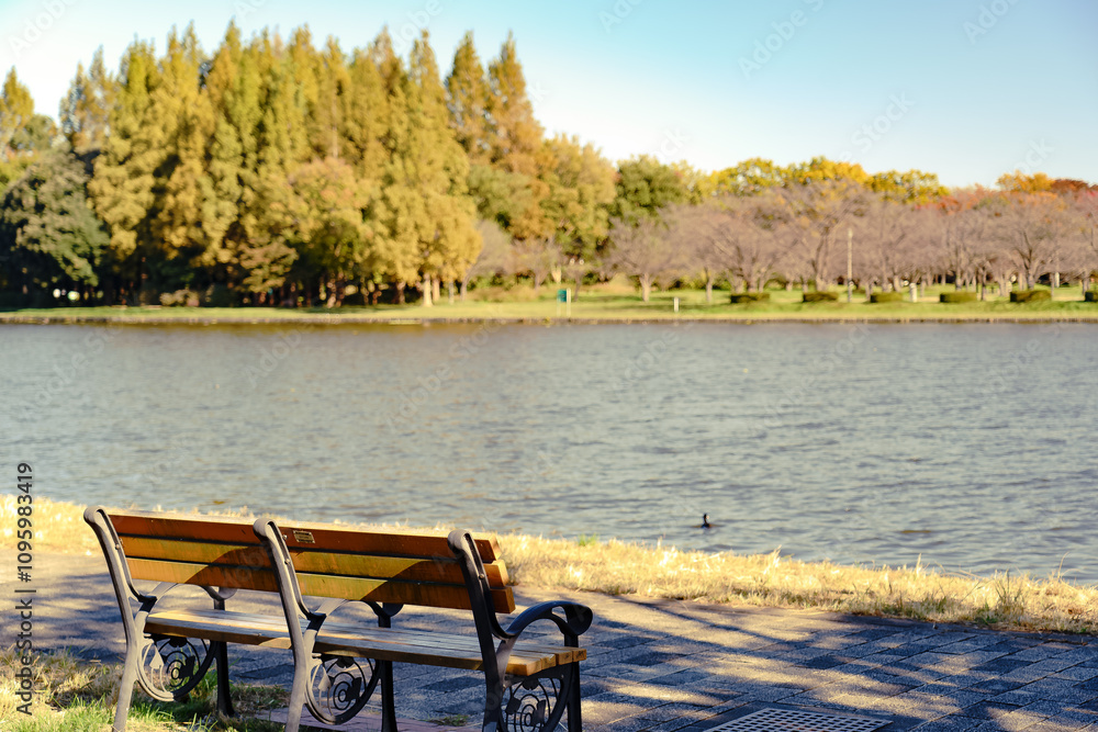 Fototapeta premium 公園の水辺にあるベンチ
