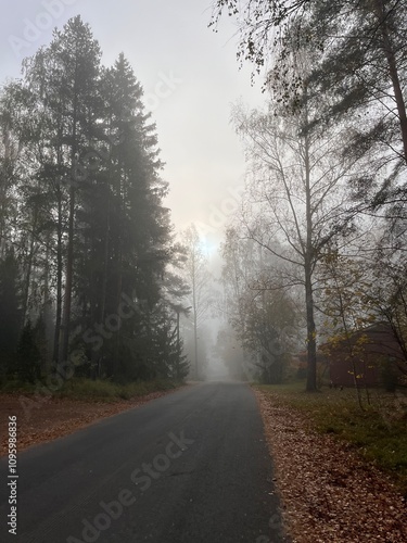 Wallpaper Mural road in the fog Torontodigital.ca