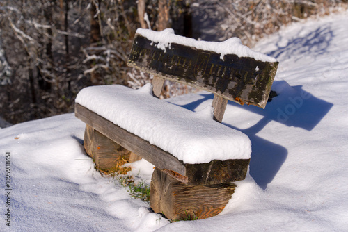 Wallpaper Mural Scenic view of snow covered empty wooden bench at hiking trail in the Swiss Alps at mountain village Filisur. Photo taken November 22nd, 2024, Filisur, Switzerland. Torontodigital.ca