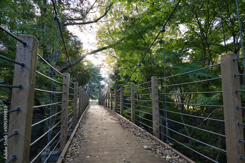 都立砧公園の吊橋
