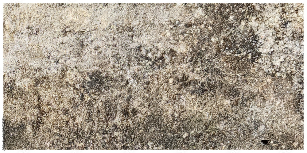 Dirty grunge white and gray background. The monochrome texture is old, Vector Grunge Texture. Distress overlay vector textures. Old damage Dirty grainy. Overlay textures grunge effect for business, wo Dirty grunge white and gray background. The monochrome texture is old, Vector Grunge Texture. Distress overlay vector textures. Old damage Dirty grainy. Overlay textures grunge effect for business, wo