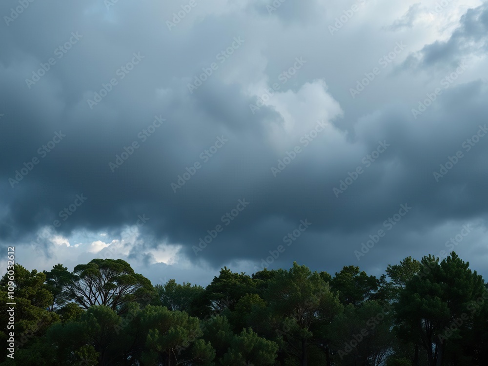 Moving clouds and trees against a darkening sky, sky, cloud, landscape Moving clouds and trees against a darkening sky, sky, cloud, landscape