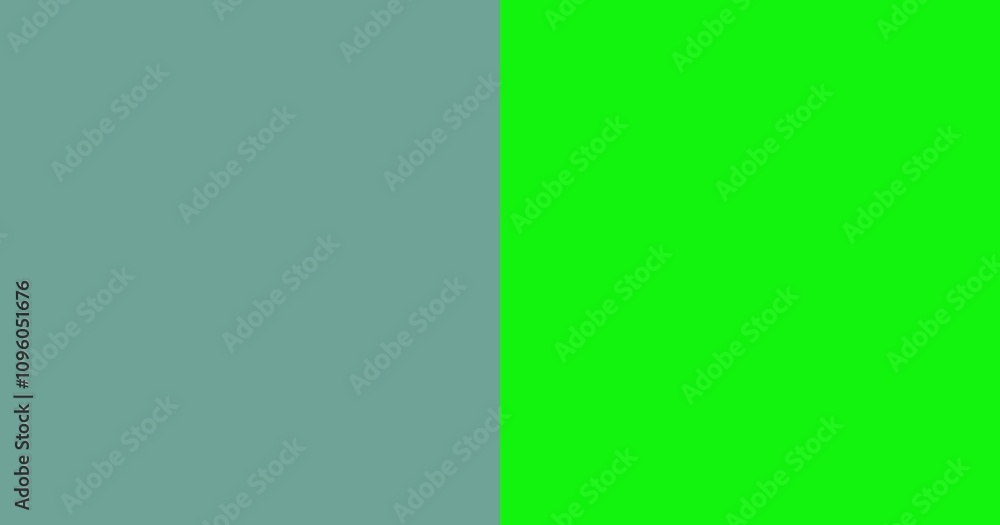 Fototapeta premium Sophisticated Two-Color Image for Modern Branding