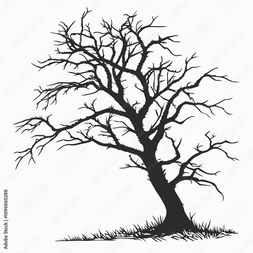 Fototapeta premium Lonely Dead Tree with Sparse, Jagged Limb