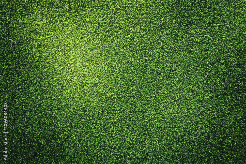 Fototapeta premium Grass field background, green grass, green background