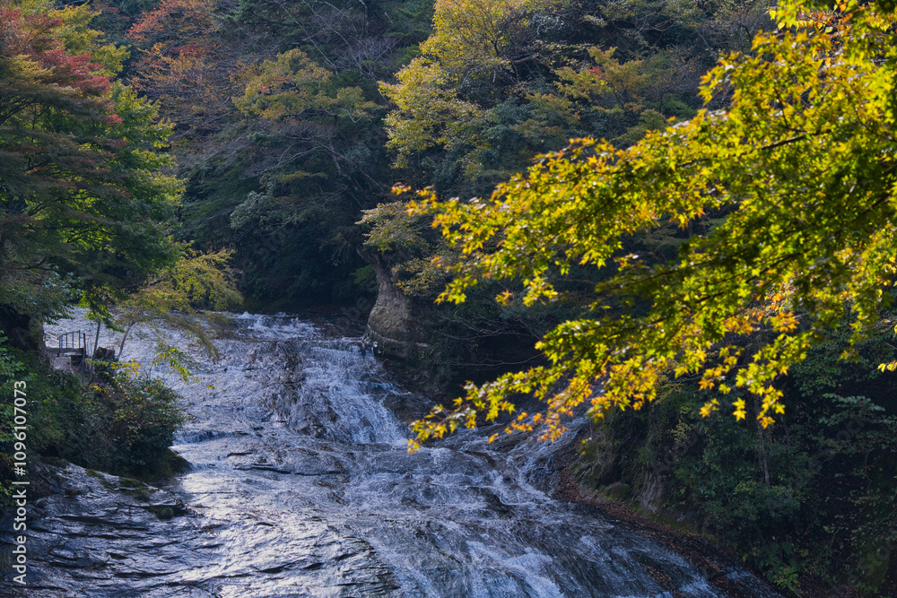 早秋の粟又の滝 早秋の粟又の滝