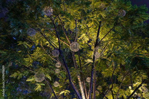Obraz na płótnie Light bulb series urban decoration night trees branch with warm lights w salonie