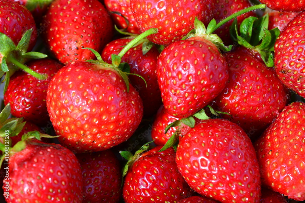 a background of strawberries isolated macro a background of strawberries isolated macro