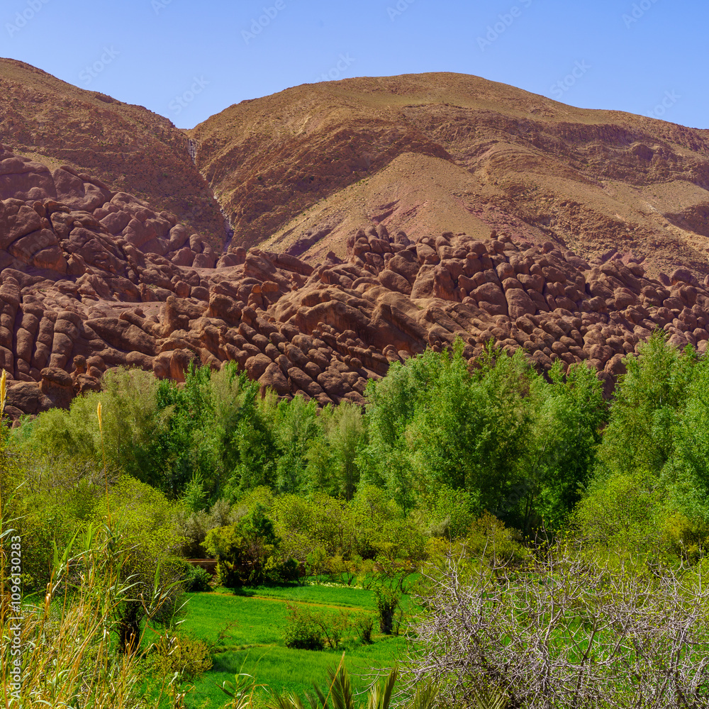 Dades Gorge landscape, High Atlas Mountains