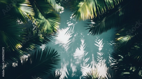 Tropical palm leaves casting intricate shadows on a soft white background, evoking a serene and natural atmosphere.