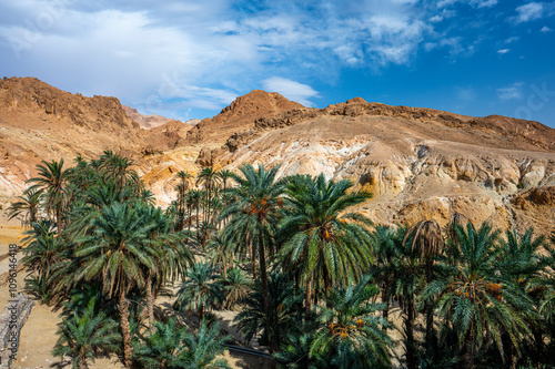 Mountains near the Chebika Oasis. One of the most popular travel destinations in Tunisia.