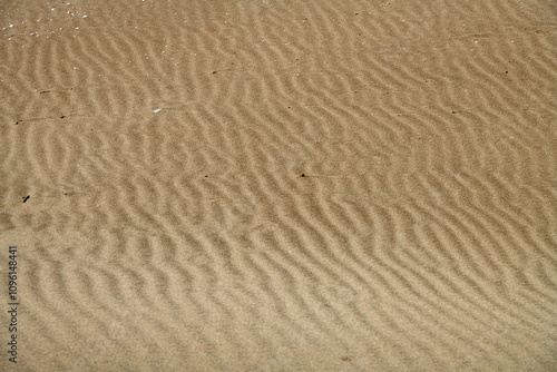 plage de Piémanson au bord de la mer Méditerranée