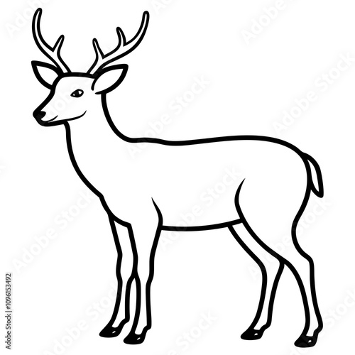 Deer shilhotee vector