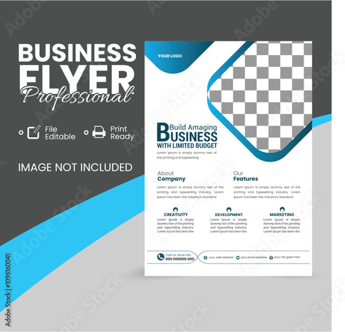 professional Flyer Business flyer and creative modern flyer 