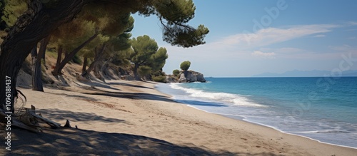 Serene Fakistra Beach Scenic View with Turquoise Waters and Lush Pine Trees Along the Shoreline in Greece photo