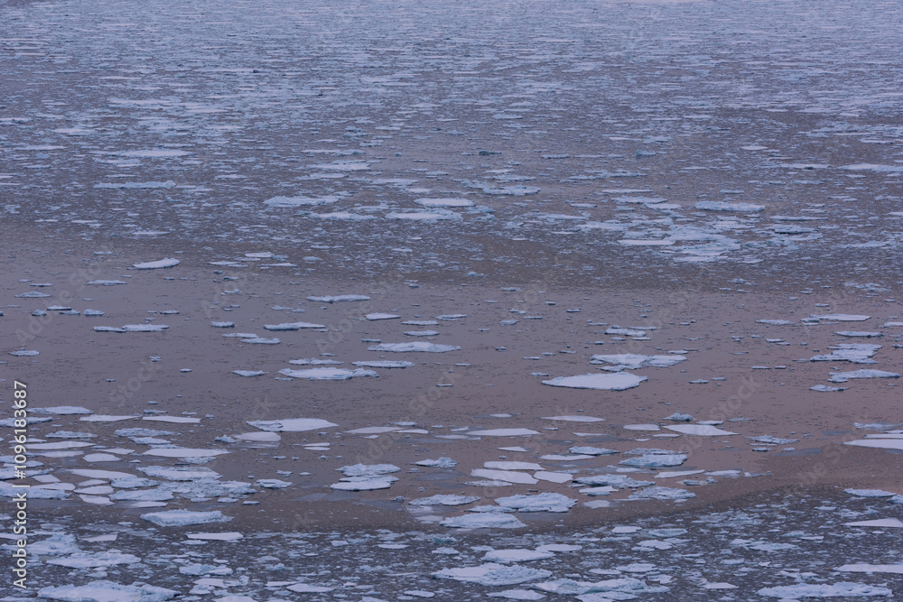 Fototapeta premium 北海道 知床の夕日に染まる流氷