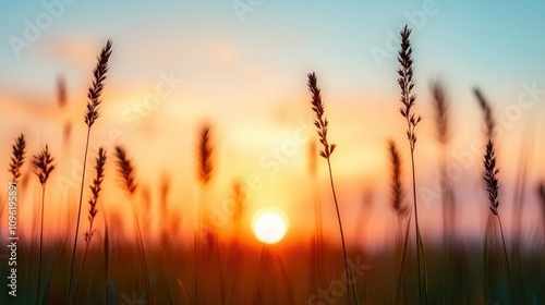 Golden Sunset Over Silhouetted Grass Blades with Vibrant Blue and Orange Sky at Dusk, Capturing the Essence of Tranquility and Natural Beauty in a Scenic Landscape