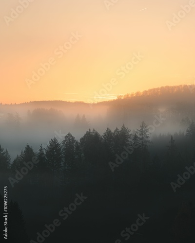 Sunrise over a misty forest landscape.