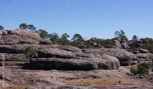 Mexiquillo Stone Forest, Durango, Mexico photo