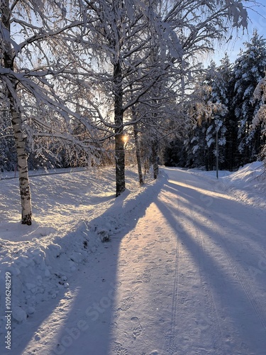 snow covered road