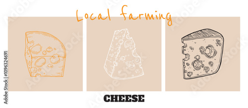 Cheese banner set. Design for packaging dairy products. Craft branding for natural cheeses. Camembert, Parmesan and Cheddar hand-drawn in sketch retro style. Vector illustration.