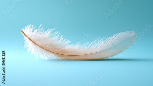 A single white feather against a light blue background.