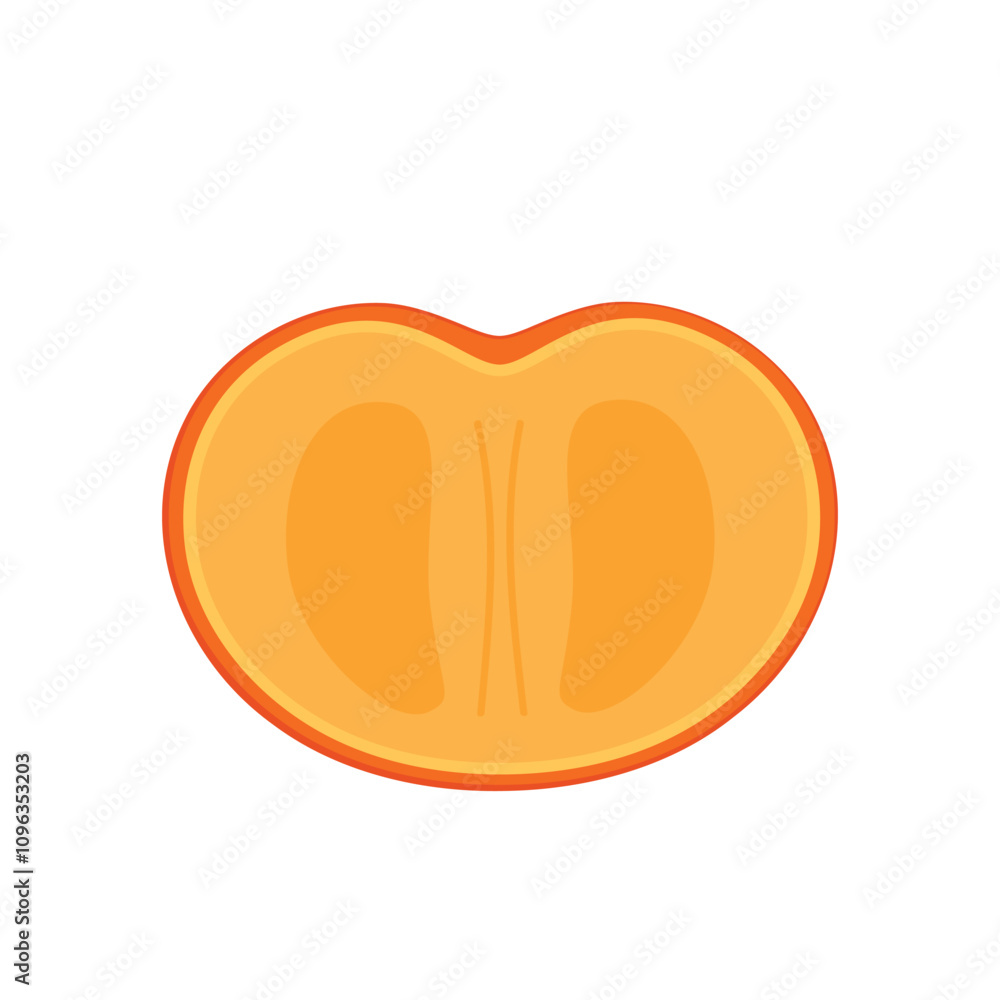 Persimmon cartoon vector. Persimmon on white background. Persimmon cartoon vector. Persimmon on white background.