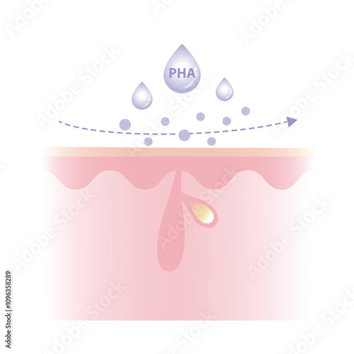 Polyhydroxy Acids characteristics vector illustration on white background. PHA work on the surface skin to exfoliate, large molecule, penetrate less, suitable for sensitive skin and water soluble.