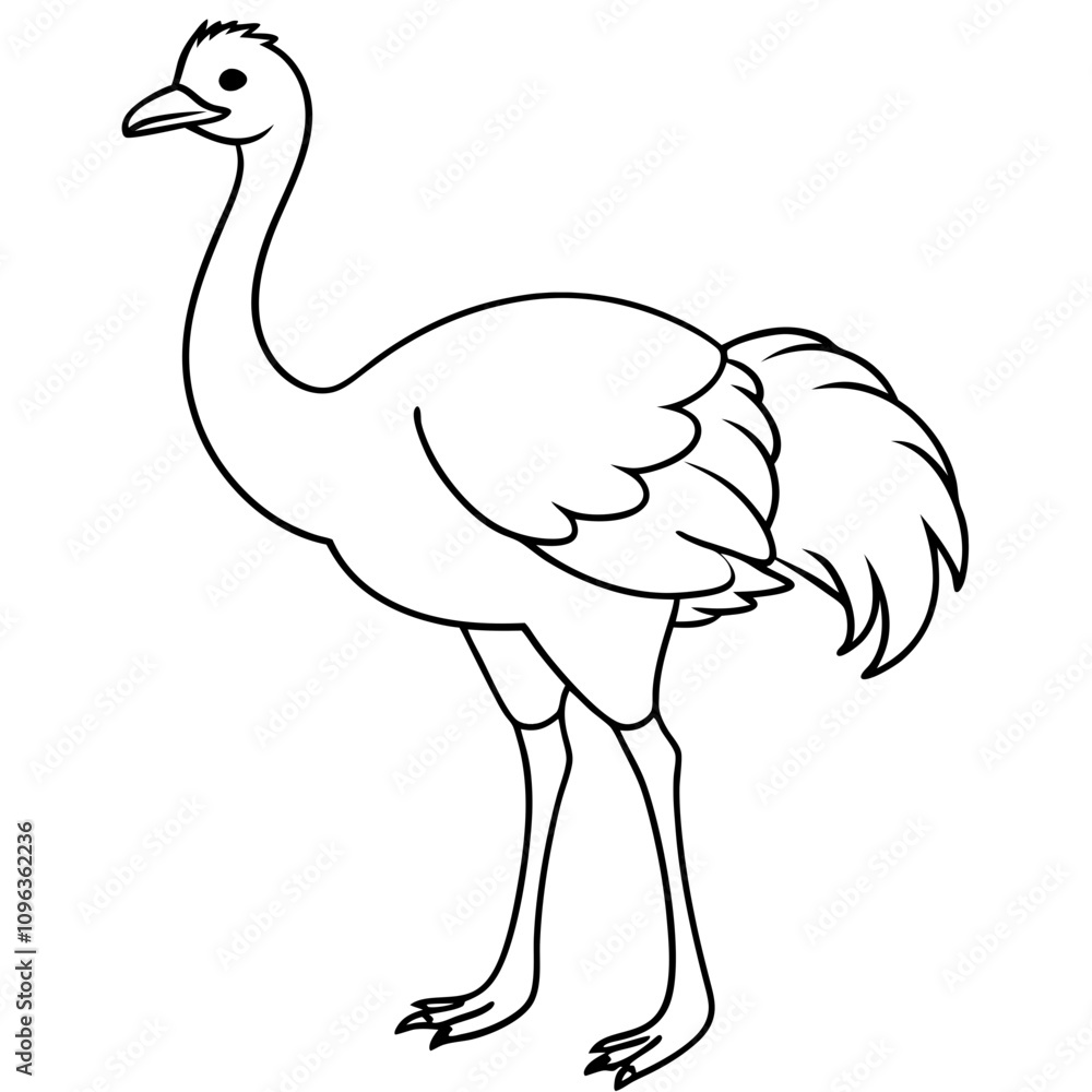 Fototapeta premium ostrich vector illustration line art transparent background