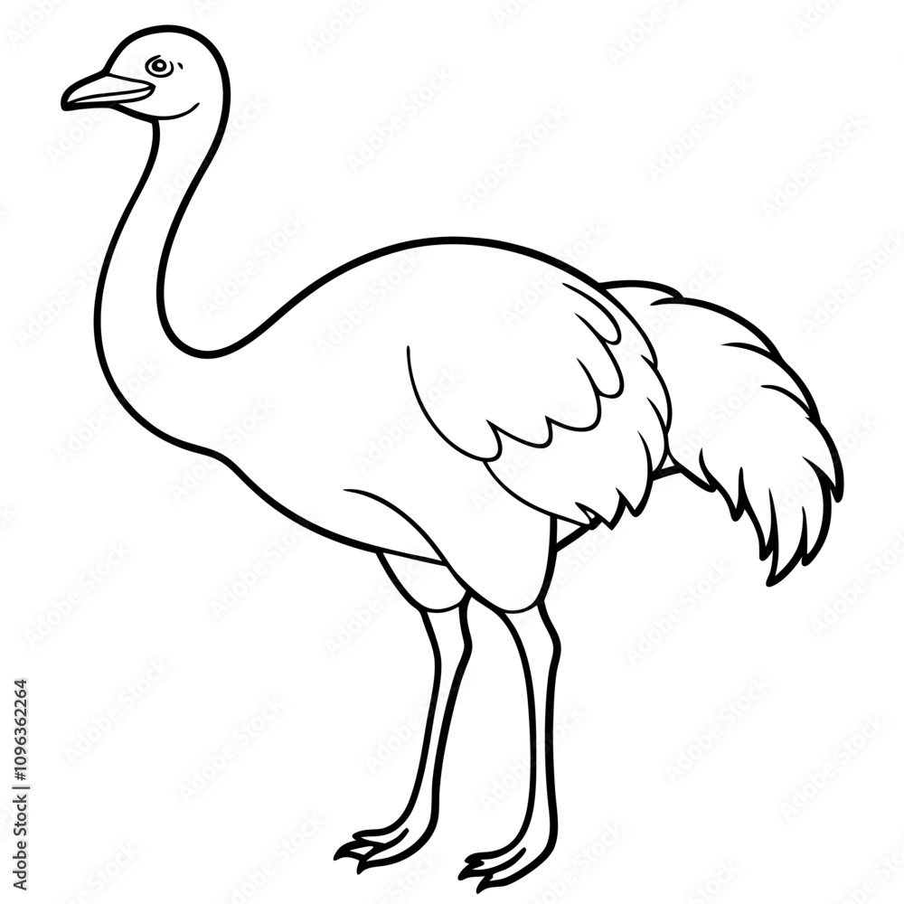 ostrich vector illustration line art transparent background ostrich vector illustration line art transparent background